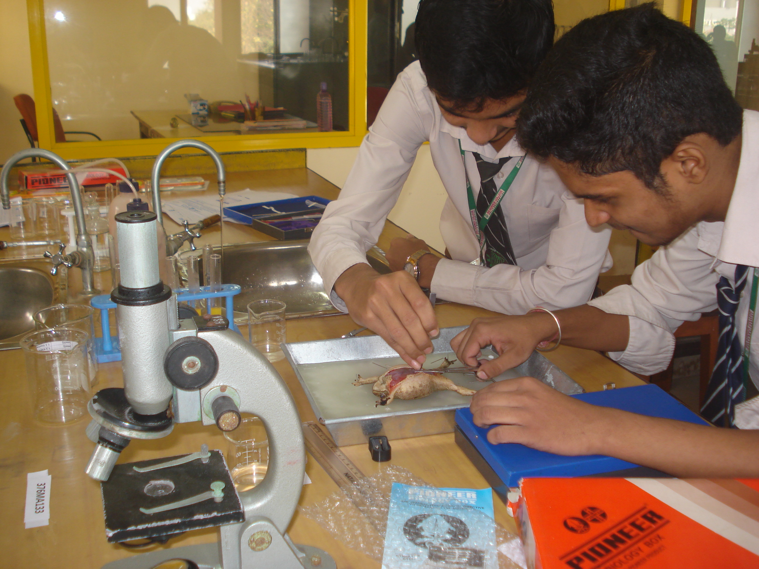 Biology Lab - Zoology